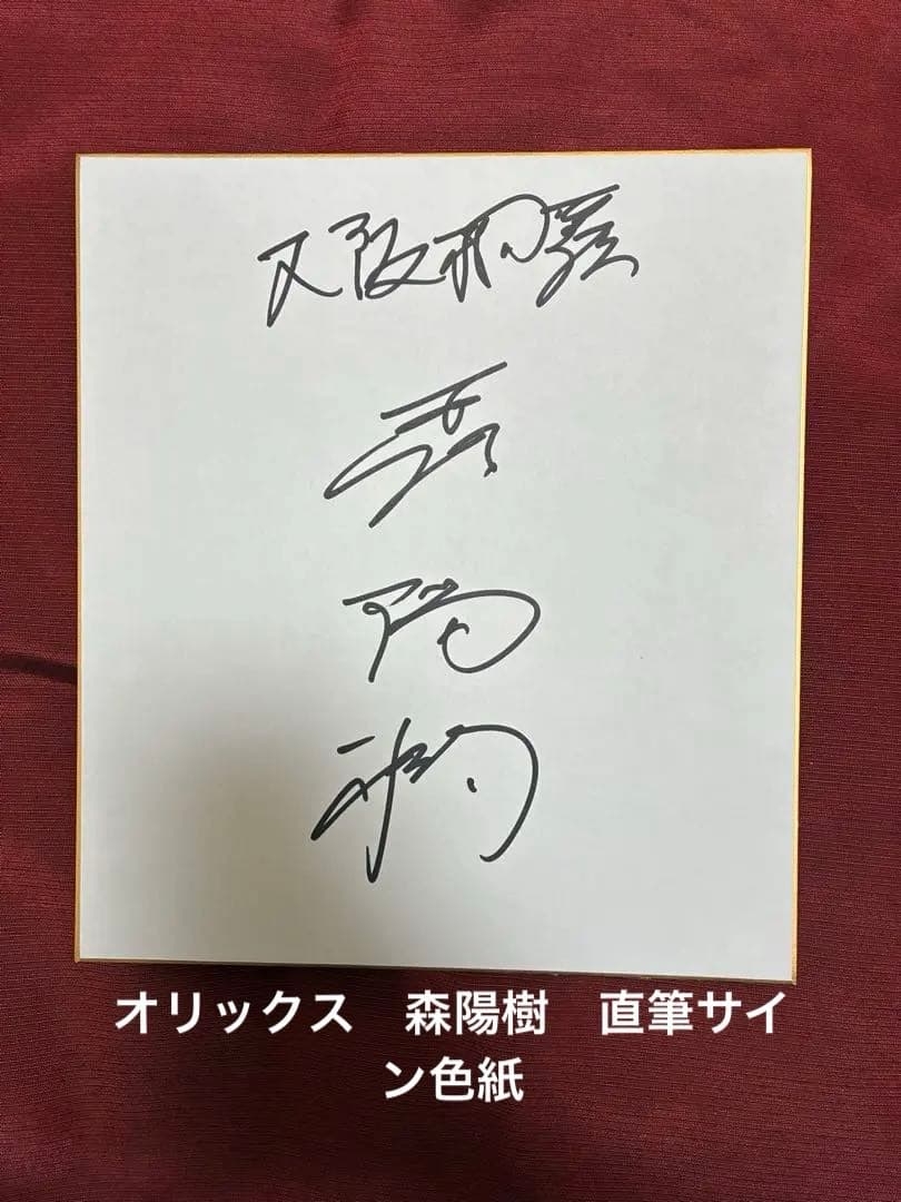 オリックス ドラフト2位 森 陽樹 直筆サイン色紙 大阪桐蔭 ver 甲子園