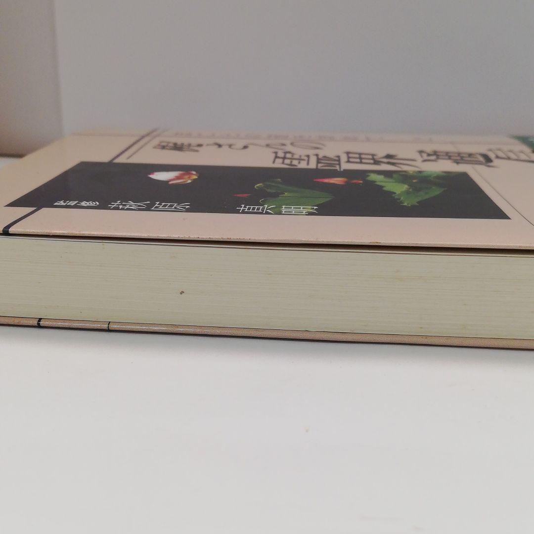 梶さんの霊界通信―まことの道を求めて〈2〉