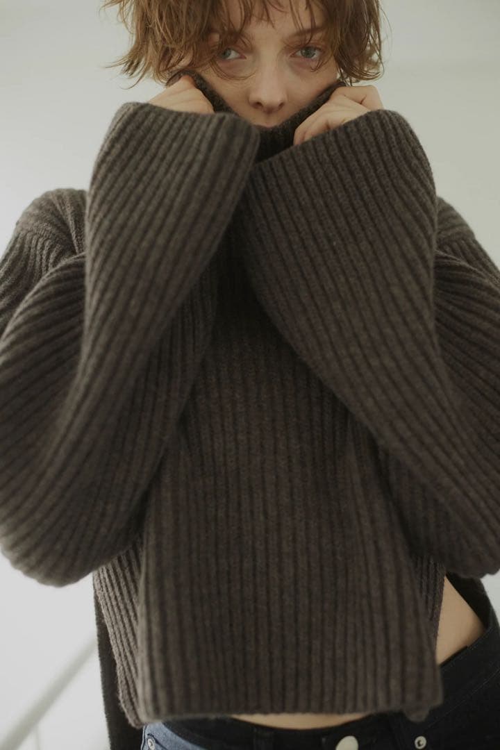 THE SHISHIKUI HIGH NECK KNIT /DARK BROWN - メルカリ