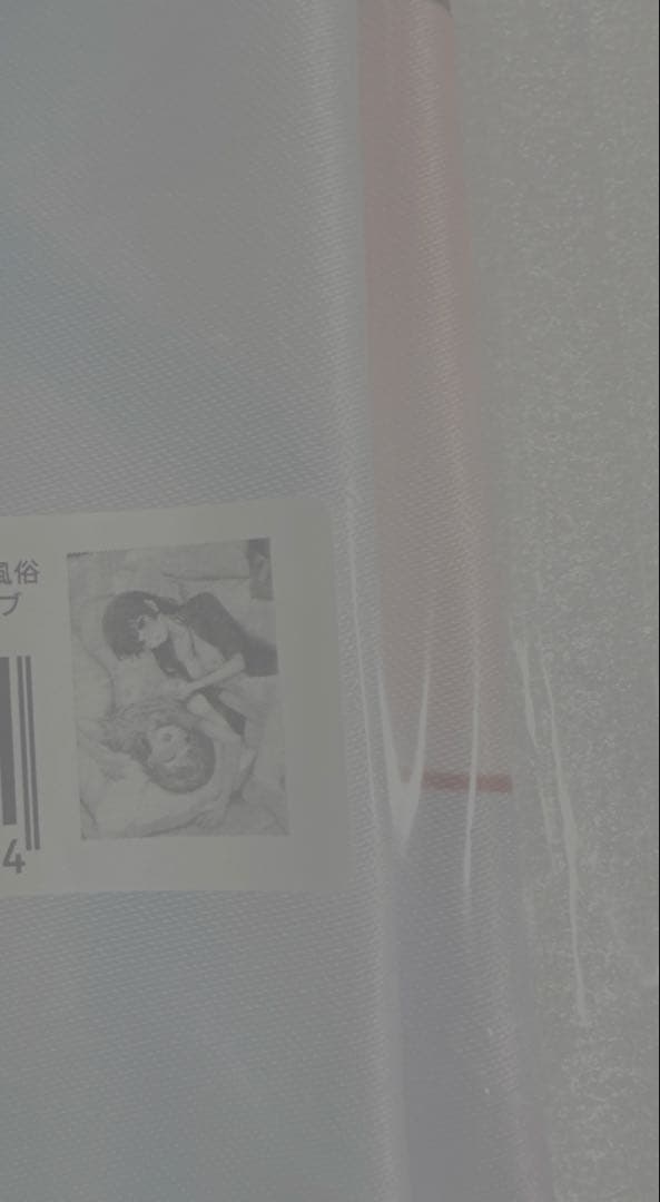 彩純ちゃんはレズ風俗に興味があります タペストリー