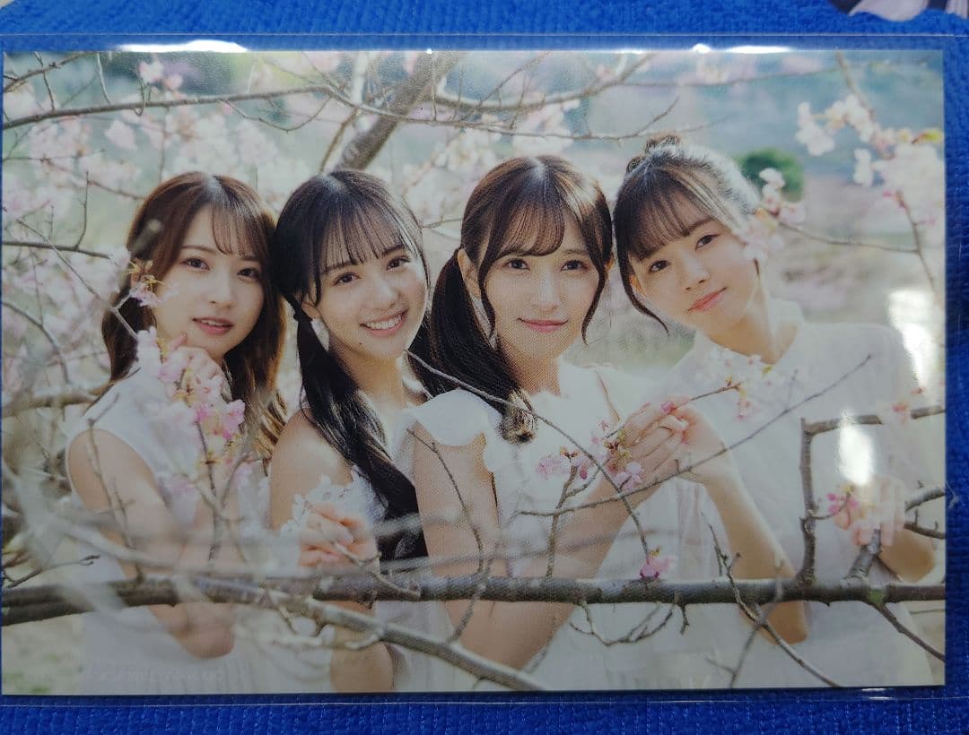 ナナニジ 22/7各種特典ポストカード10枚セット