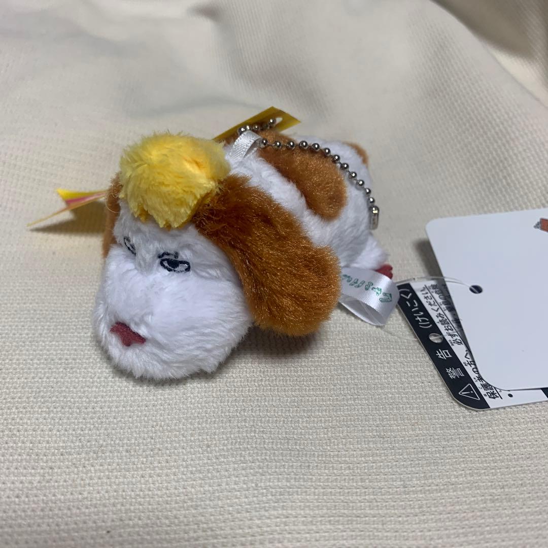 ジブリパーク 魔女の谷限定品 ヒン ぬいぐるみ キーホルダー ハウルの