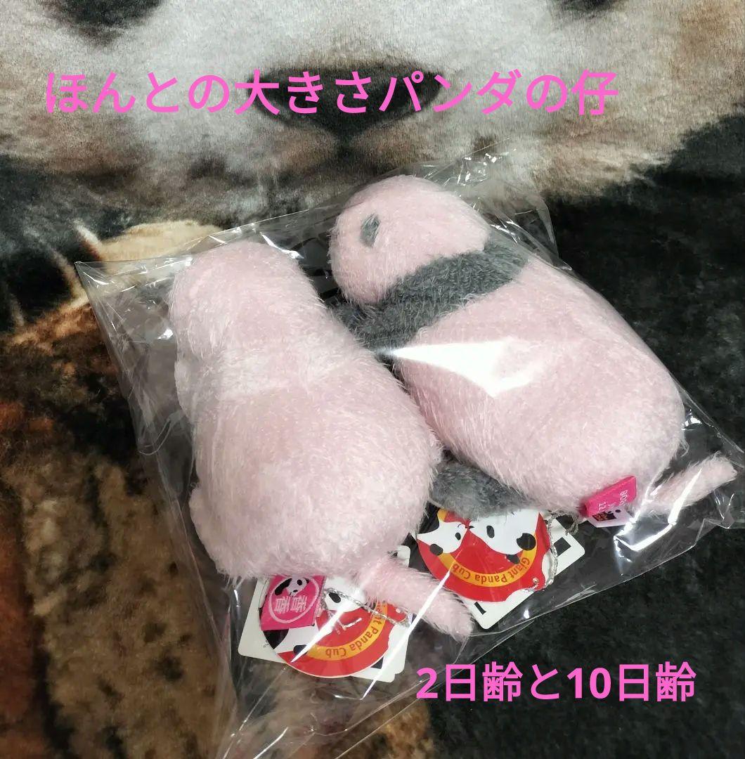 シャンシャン ぬいぐるみ ほんとの大きさパンダの仔 上野動物園 - メルカリ