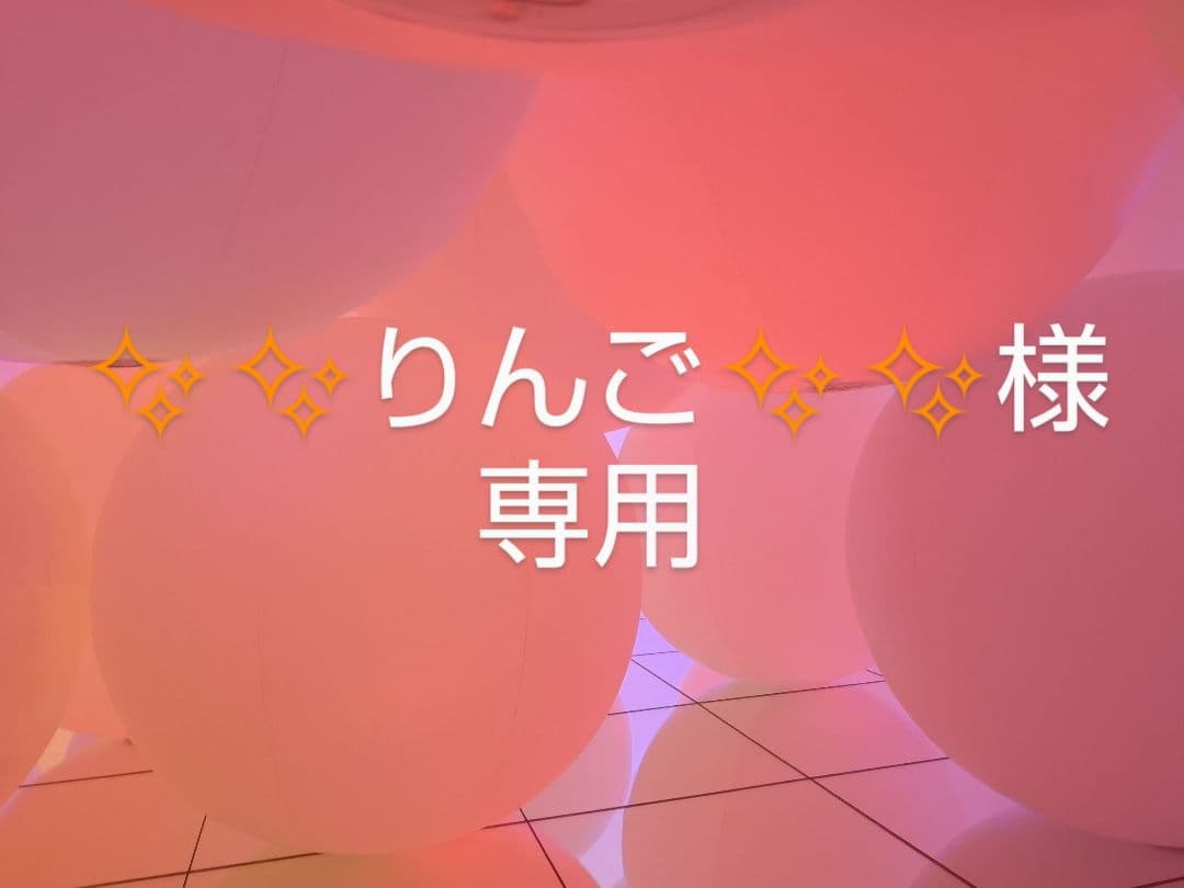 ✨✨りんご✨✨ もぎたて りんご 知育玩具 木のおもちゃ GENI