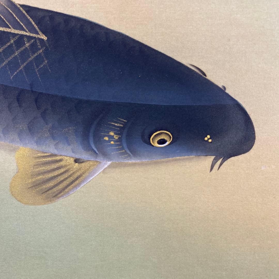 美品 掛け軸 天野望作 彩鯉図 共箱 縁起物 遊鯉 年中掛け - メルカリ