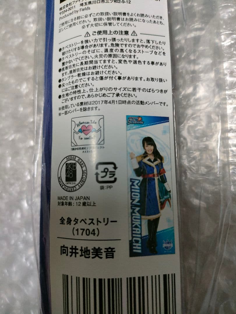 希少 向井地美音 全身タペストリー バトフェス バトルフェスティバル