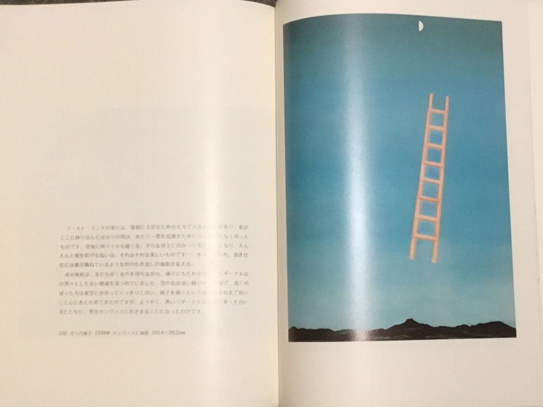 【連休中値下】 ⭕️オキーフ画集 限567 小学館82年刊　定価2万8千　大判函付