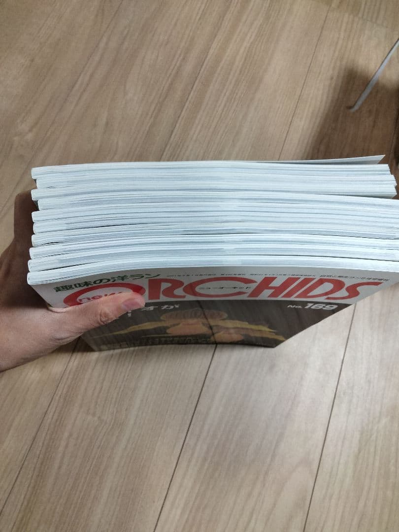 趣味の洋ラン　 ニューオーキッド　No160 ~169 10冊　早い者勝ち
