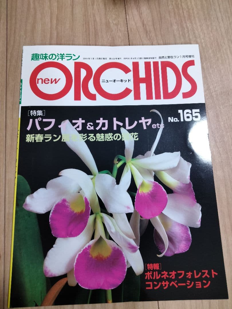 趣味の洋ラン　 ニューオーキッド　No160 ~169 10冊　早い者勝ち