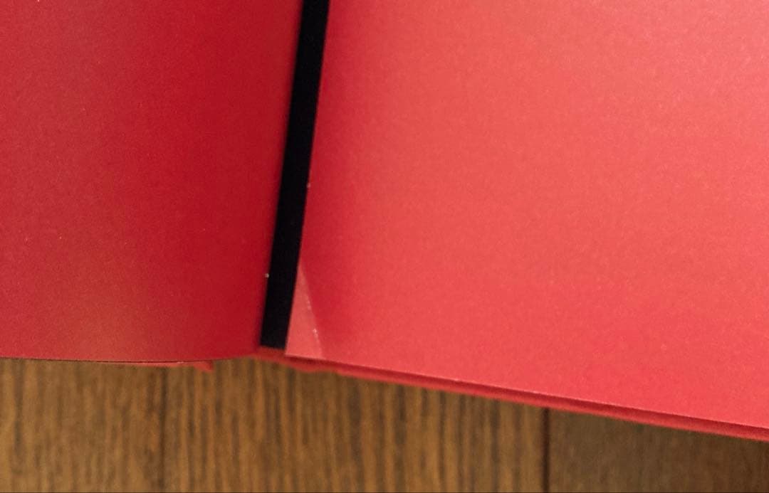 石田えり　大型写真集 56 撮影　ピーター・リンドバーグ　帯つき