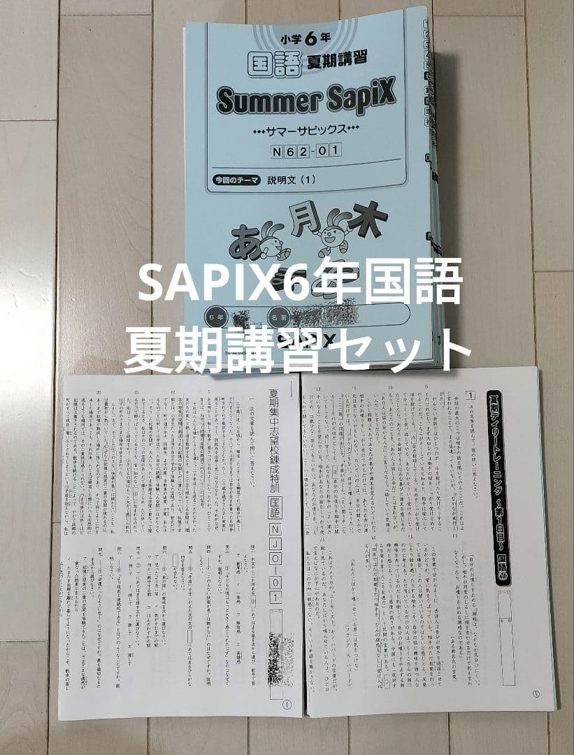 SAPIX6年国語　夏期講習セット SAPIX 6年生国語セット - メルカリ