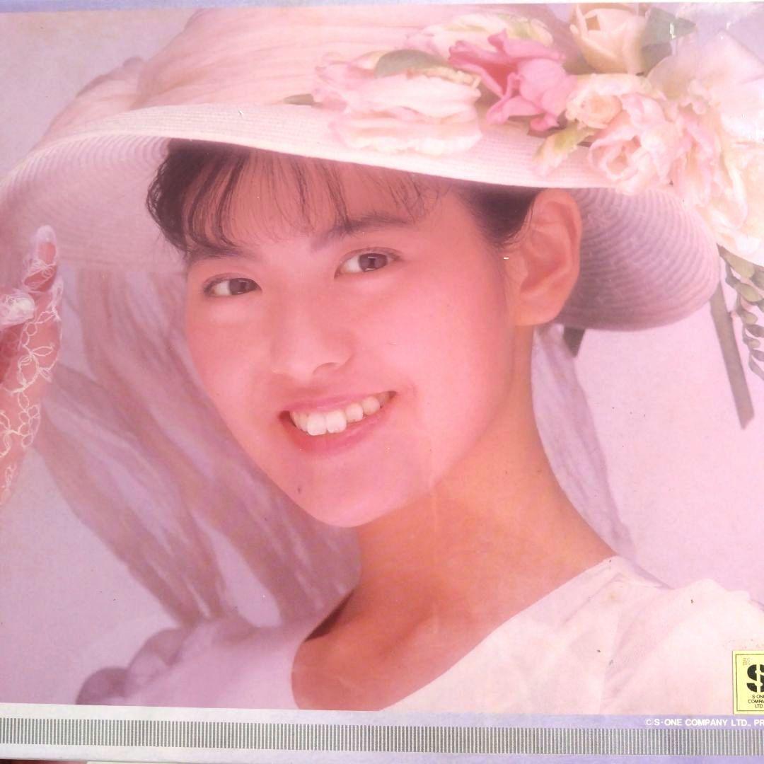 南野陽子 ジグソーパズル 500ピース 未開封・未使用 - メルカリ