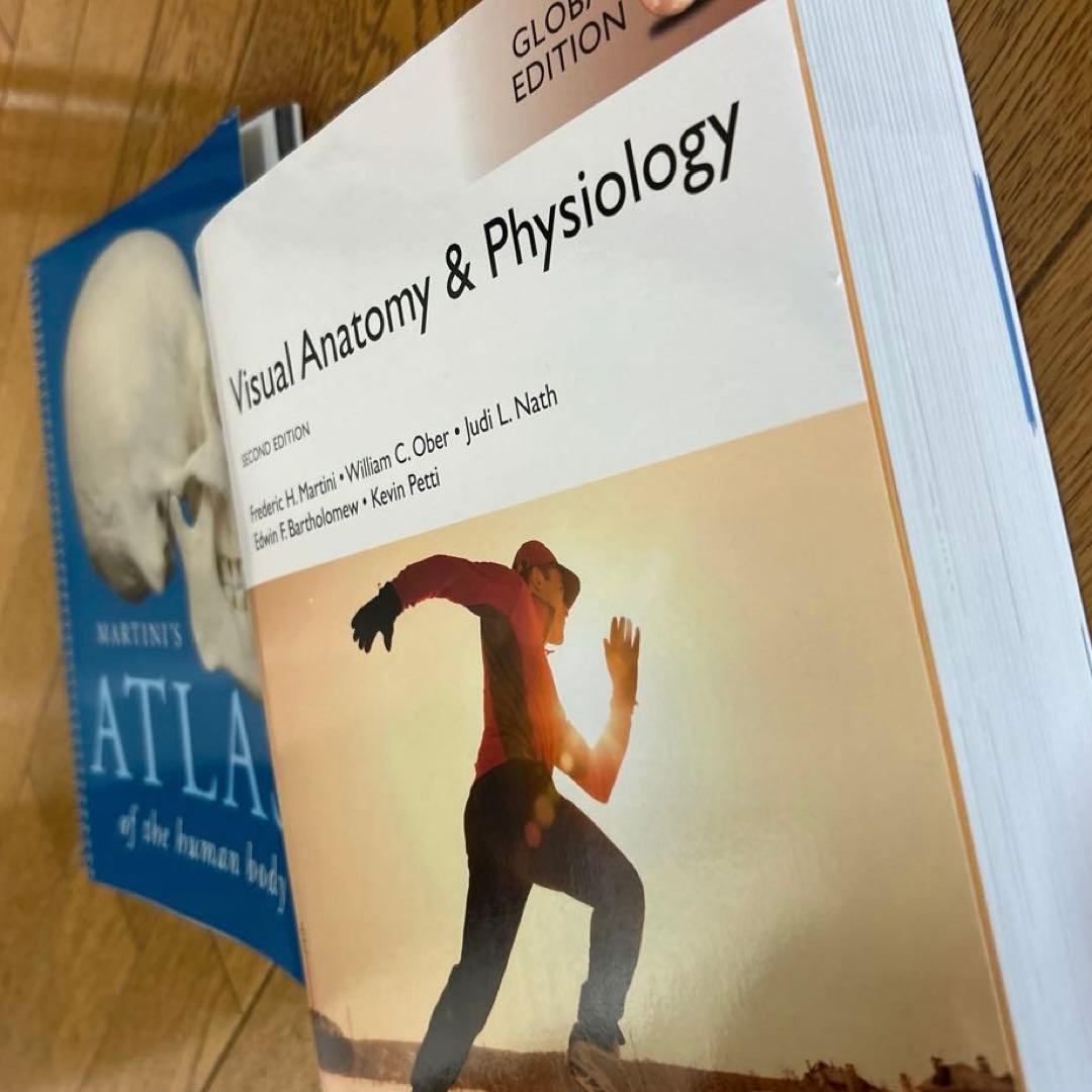 視覚解剖学と生理学、グローバルエディション+マルティーニの人体地図