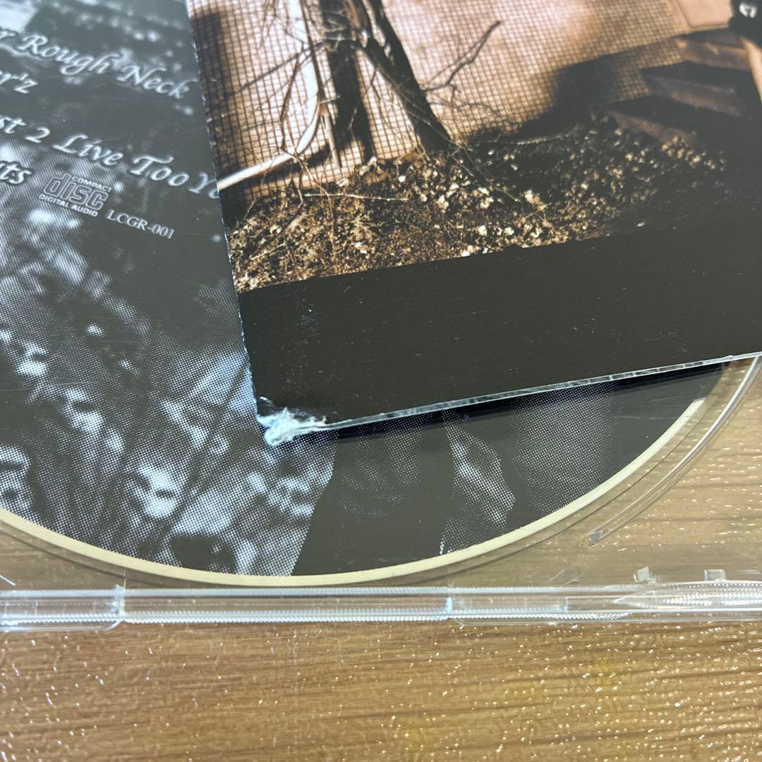 ANARCHY ghetto day'z - メルカリ