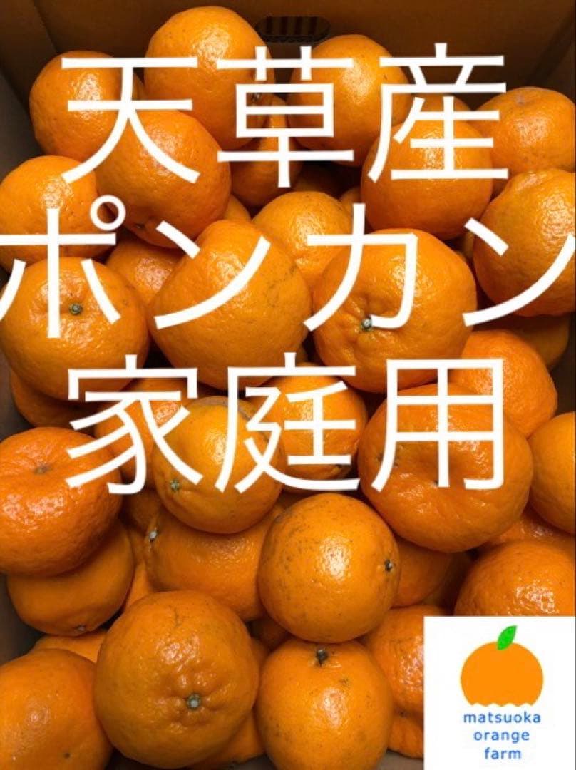 天草産ポンカン　家庭用　箱込20kg 20 ポンカン 天草産 規格外 ご家庭用 箱込みで20kg以上 送料込み 箱は