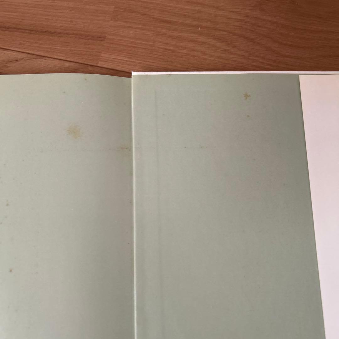 江口寿史 イラスト集 初版 帯付 チラシ付き - メルカリ