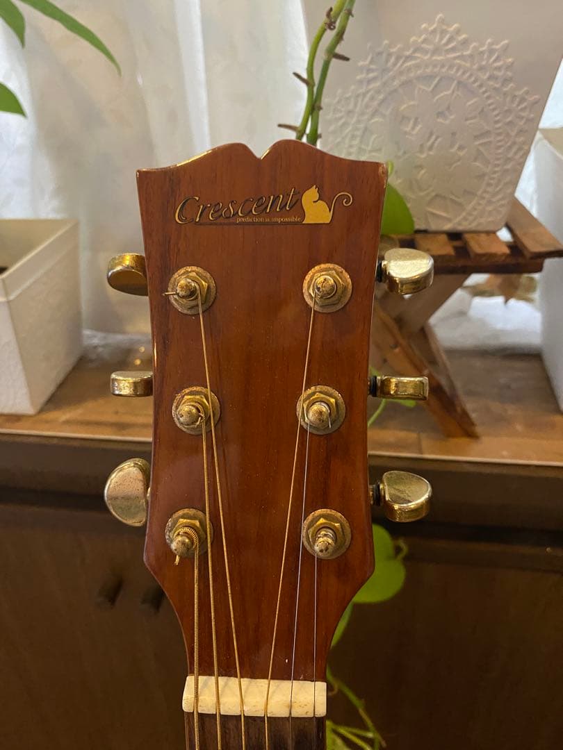 Crescent オール単板 CA-D-85BS L.R.Baggs lyric