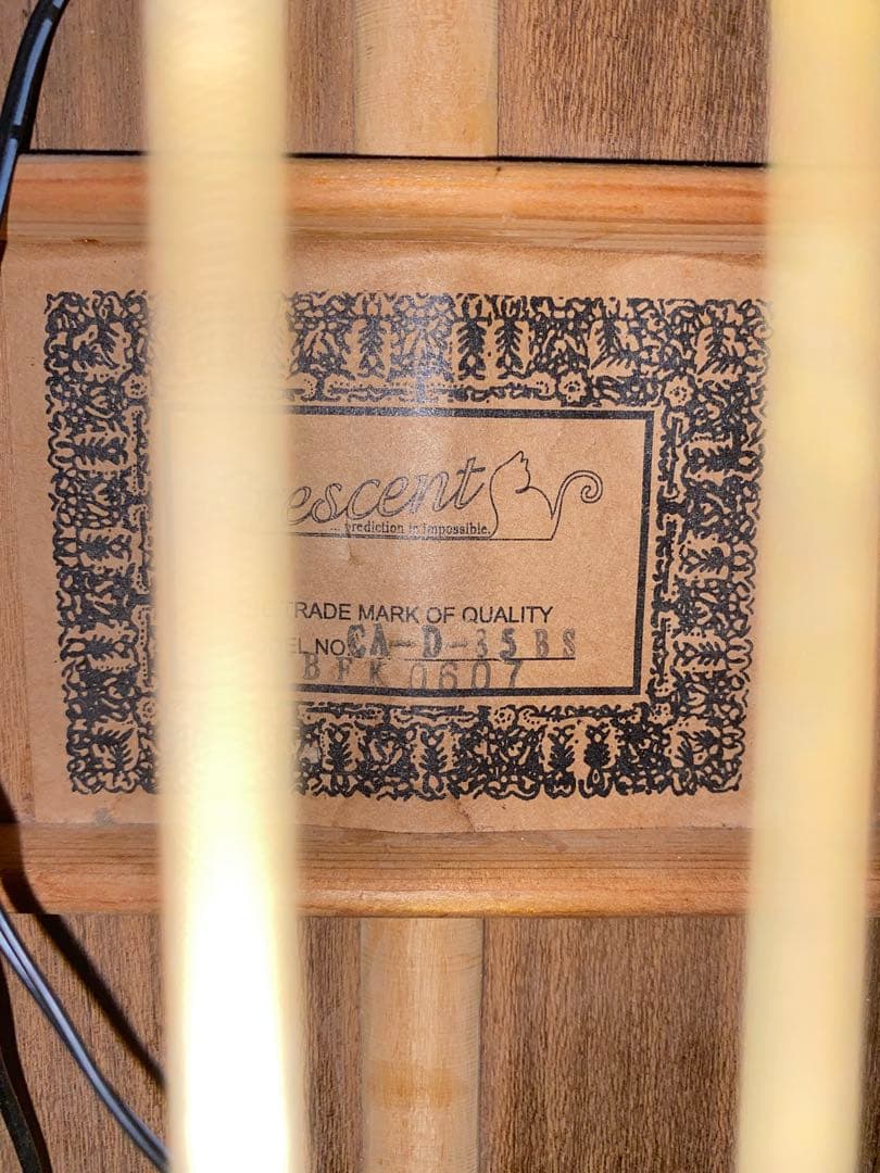 Crescent オール単板 CA-D-85BS L.R.Baggs lyric