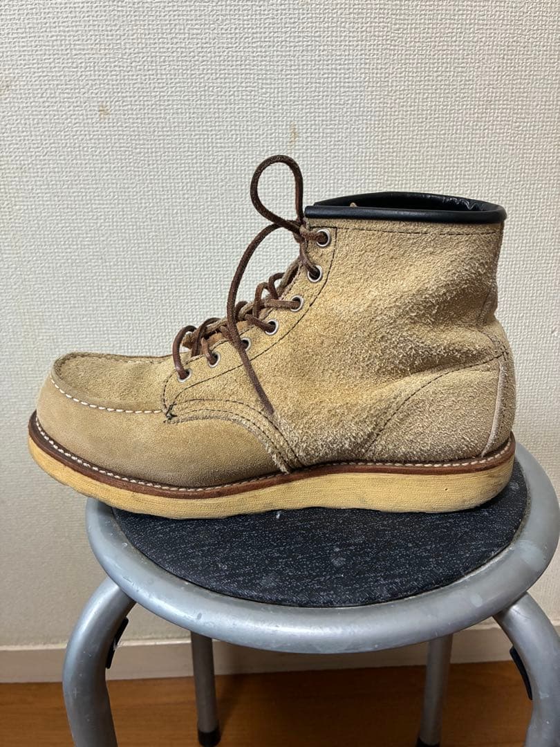 レッドウイング　アイリッシュセッター　8173 7.5d