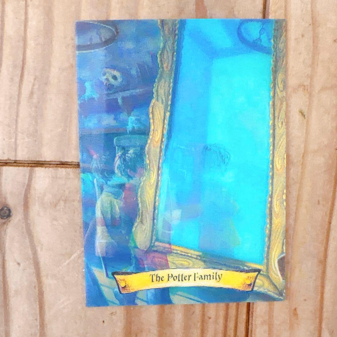 ハリーポッター カエルチョコ 3DカードThe Potter Family