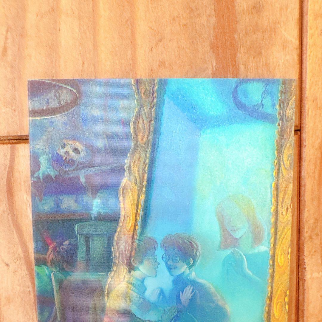 ハリーポッター カエルチョコ 3DカードThe Potter Family