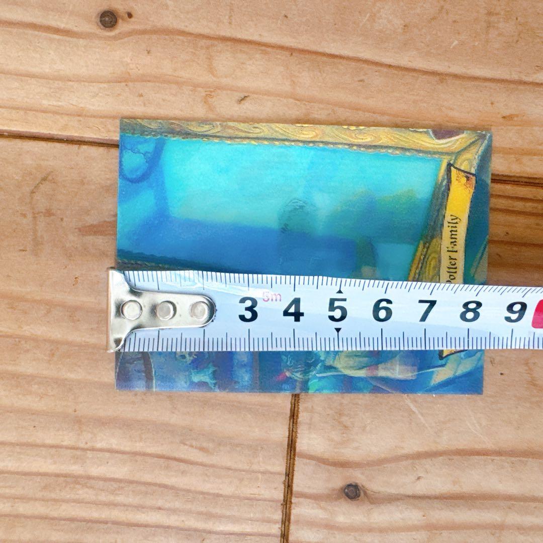 ハリーポッター カエルチョコ 3DカードThe Potter Family