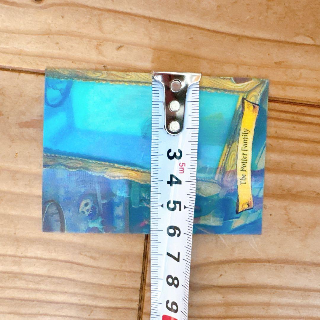 ハリーポッター カエルチョコ 3DカードThe Potter Family