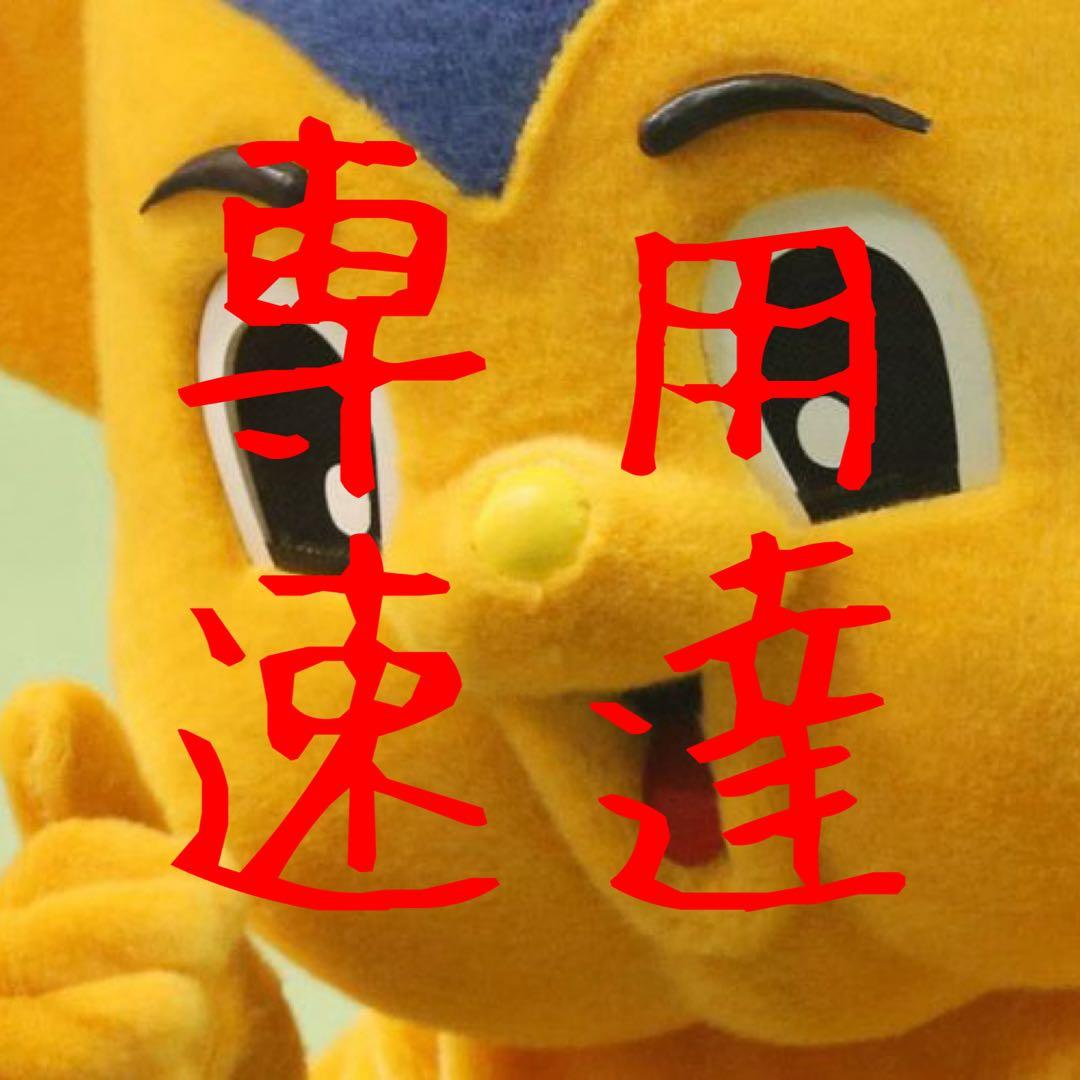 【塊根植物】サイカスカイルンシアナ 国内実生 ソテツ 管理番号3 CC5] サイカスカイルンシアナ | KANIK