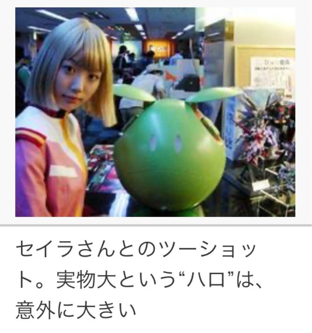 RARE 1/1 HARO PC Case Gundam Limited1000 - メルカリ