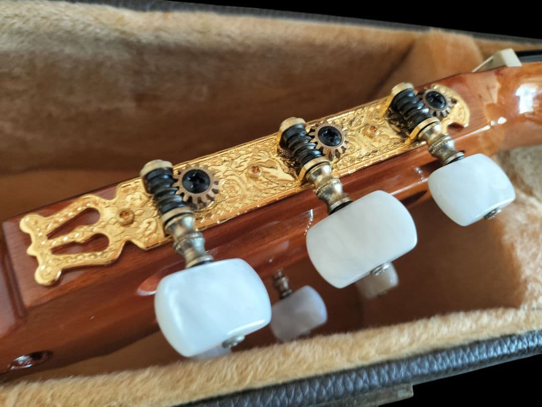 本日迄☆エレガットギター☆ワッシュバーン Washburn C64SCE☆ - メルカリ