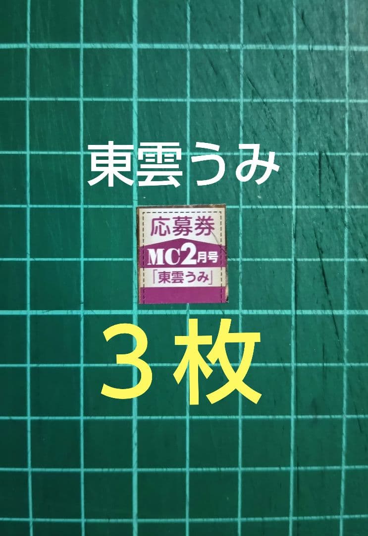 3枚 応募券 東雲うみ サイン入りチェキ 抽プレ 月刊少年チャンピオン