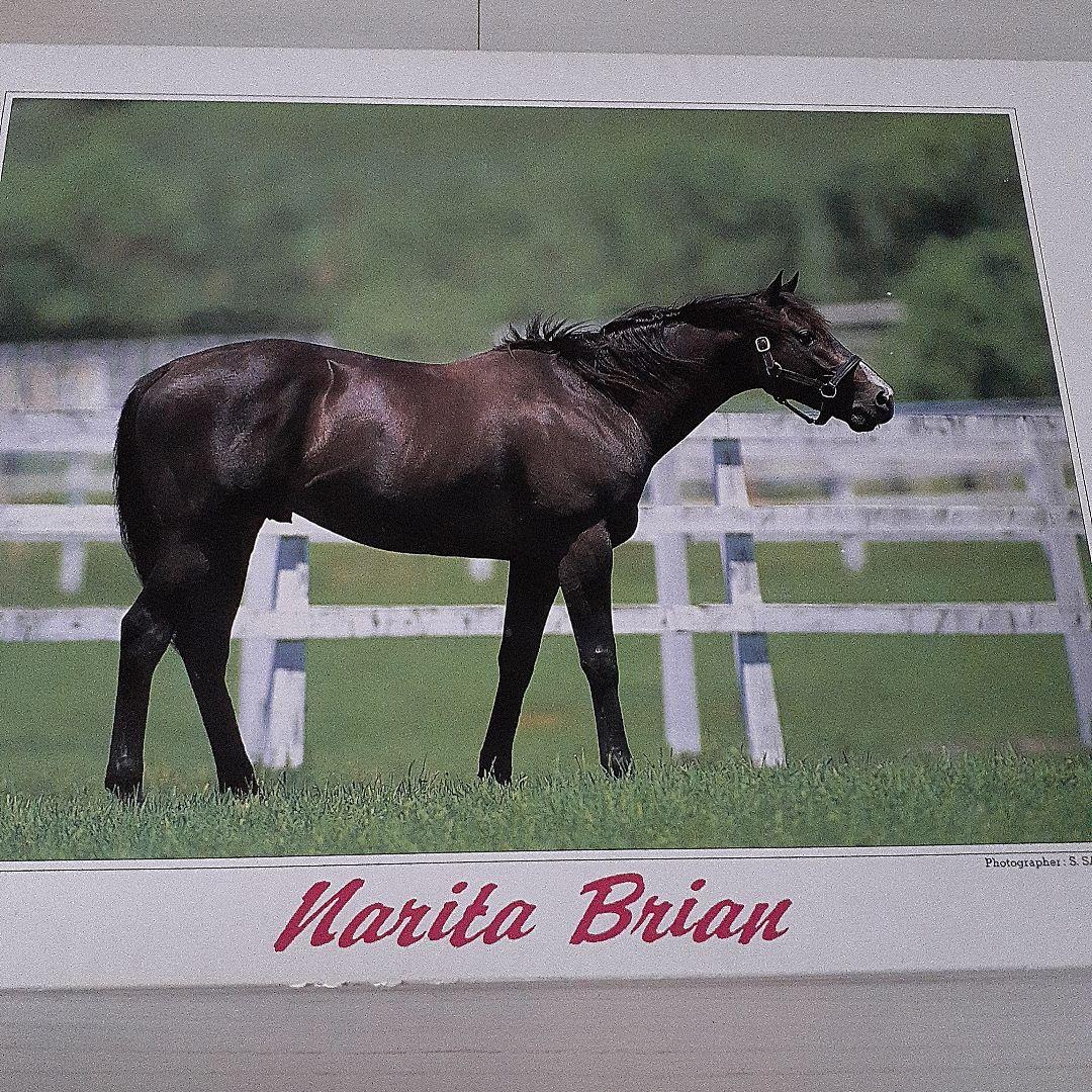 希少美品】ジグソーパズル ヒストリーオブホース ナリタブライアン 500