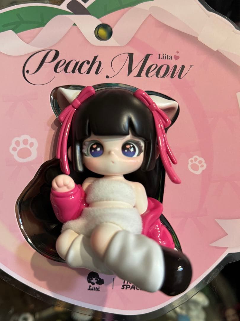 TNTSPACE Liita リイタ 透明パッケージ 吊卡 レア