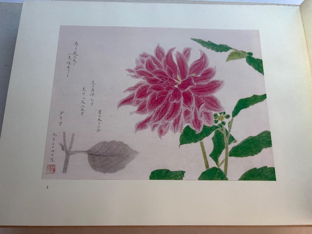 傳神譜　中村岳陵　4冊　写生画集　10.2kg 大型本画集　日本画　絵画