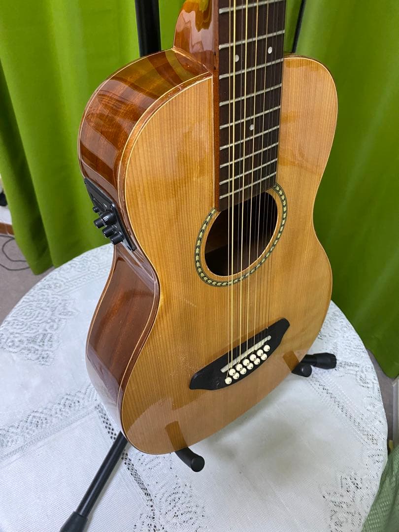 Chang Shin様専用 12弦エレアコOTO-OTO OT3E 音抜け良好 - メルカリ