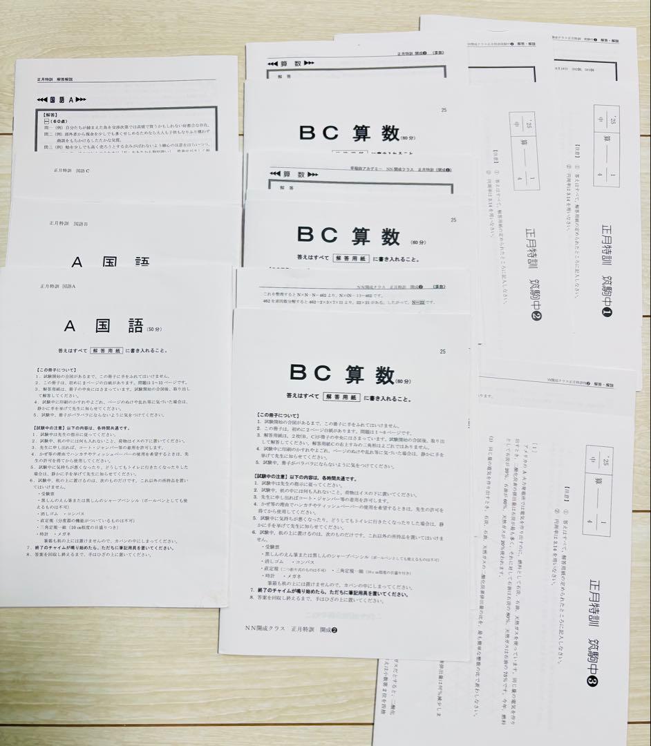 2024-2025 最新版　早稲田アカデミー　NN 開成　筑駒　正月特訓 2024-2025 最新版 早稲田アカデミー NN 開成 筑駒 正月特訓 - メルカリ