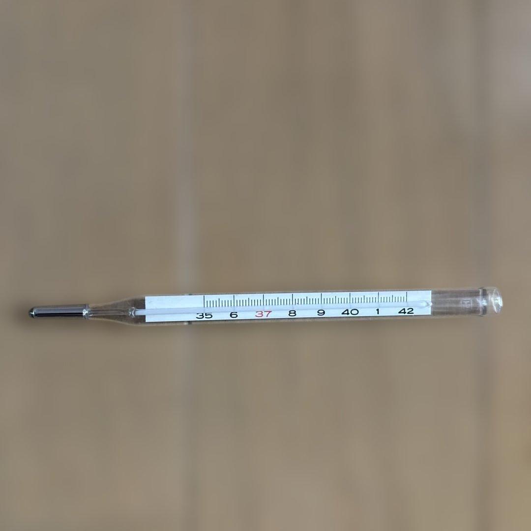 昭和レトロ】水銀体温計 35〜42度 - メルカリ