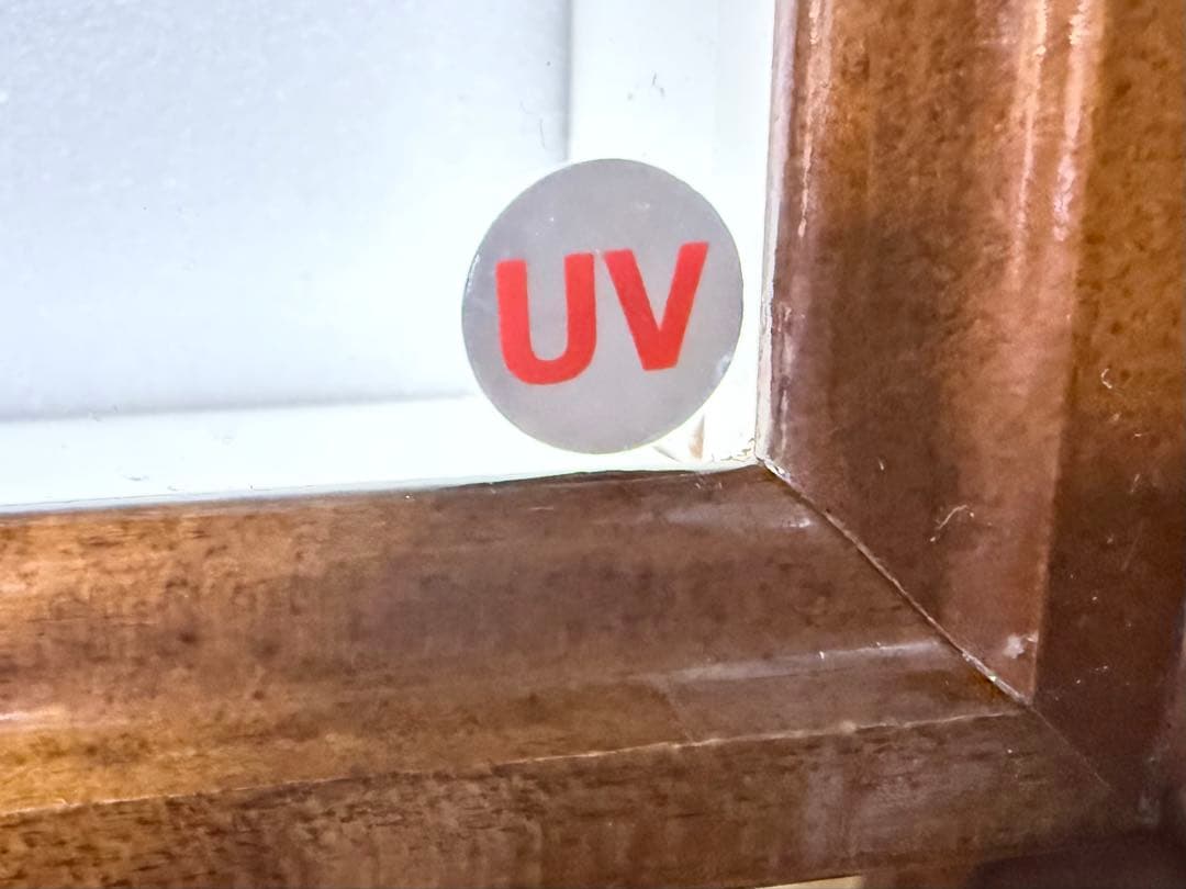 ○バードウィング製 高級ドイツ型標本箱 BW60 中古 UVガラス仕様