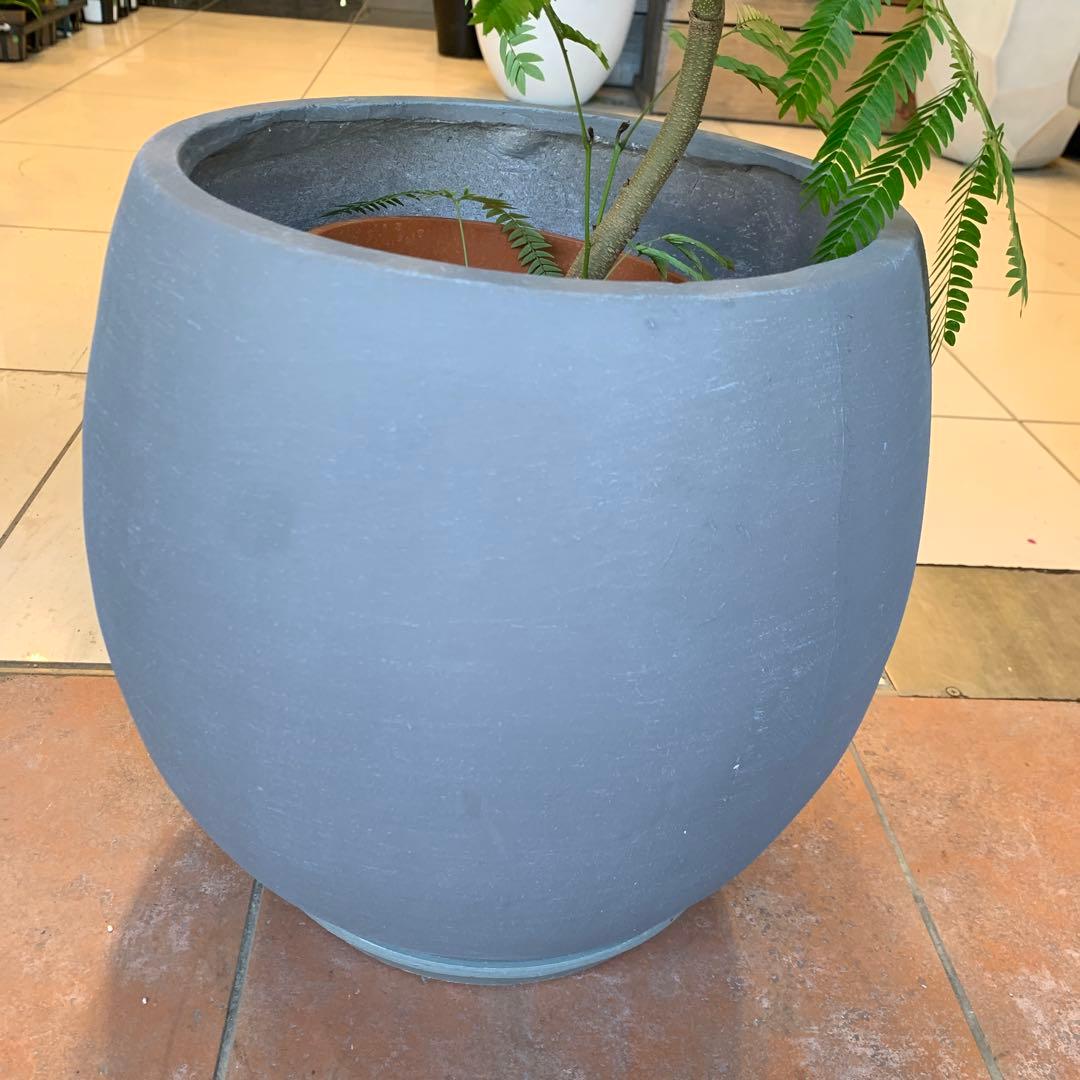 エバーフレッシュ ファイバー鉢 お皿付き - メルカリ