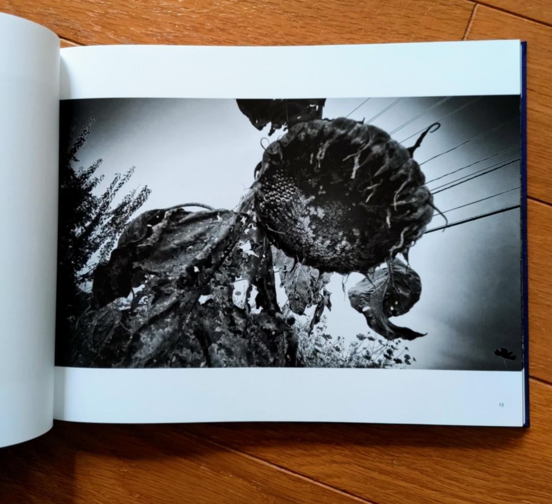 森山大道 遠野 2014（900部限定版 / A.P. 版） - メルカリ