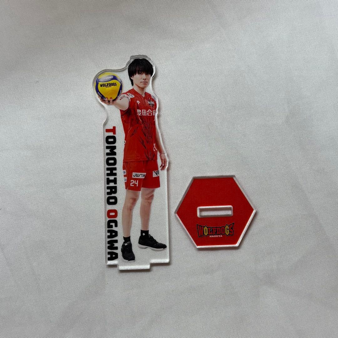 小川智大 ウルフドッグス名古屋 アクスタ - メルカリ