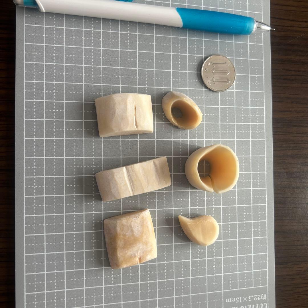 マッコウクジラ歯 色々形 - メルカリ