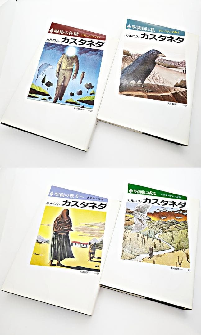 希少】 カルロス・カスタネダ 著作9冊セット 二見書房 - メルカリ