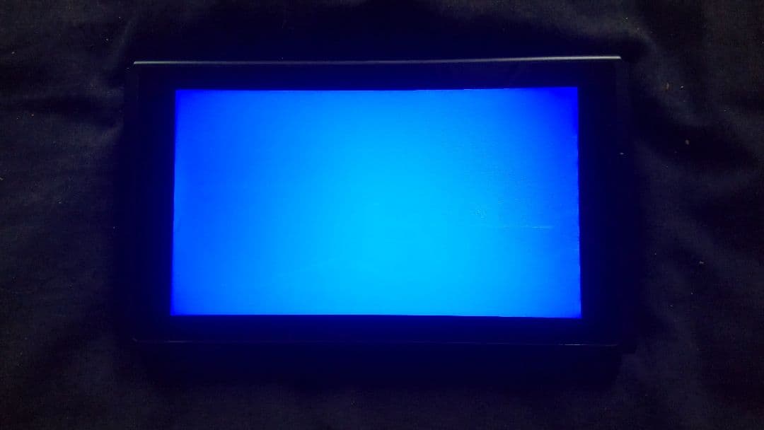 専用 Nintendo Switch 本体 ジャンク① ジャンク》ニンテンドースイッチ 初期型 本体のみ Nintendo Switch