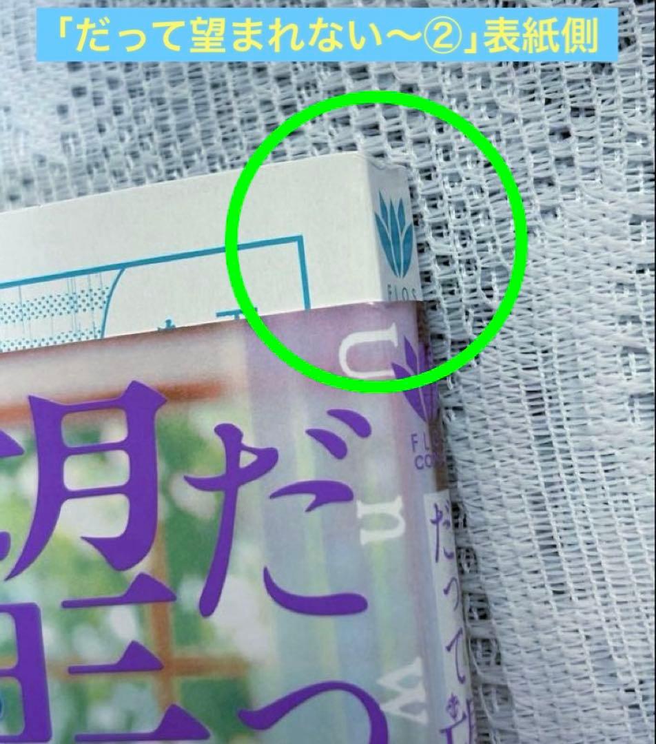 ☆専用☆「だって望まれない番ですから2巻」