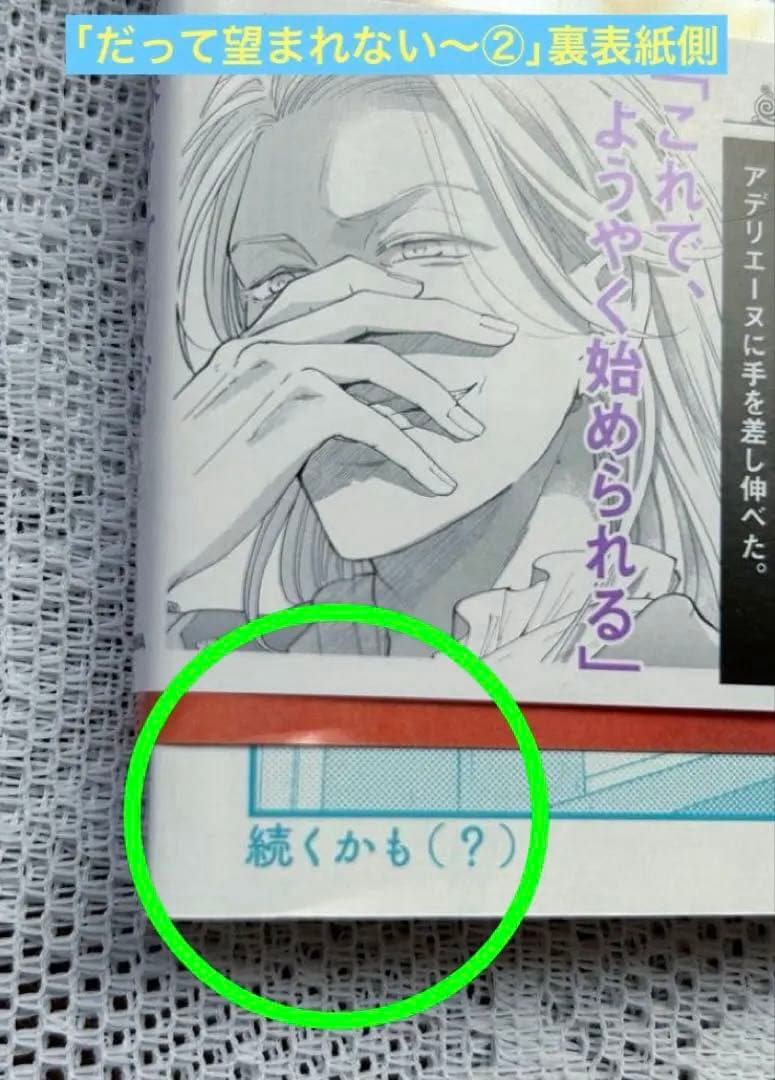 ☆専用☆「だって望まれない番ですから2巻」