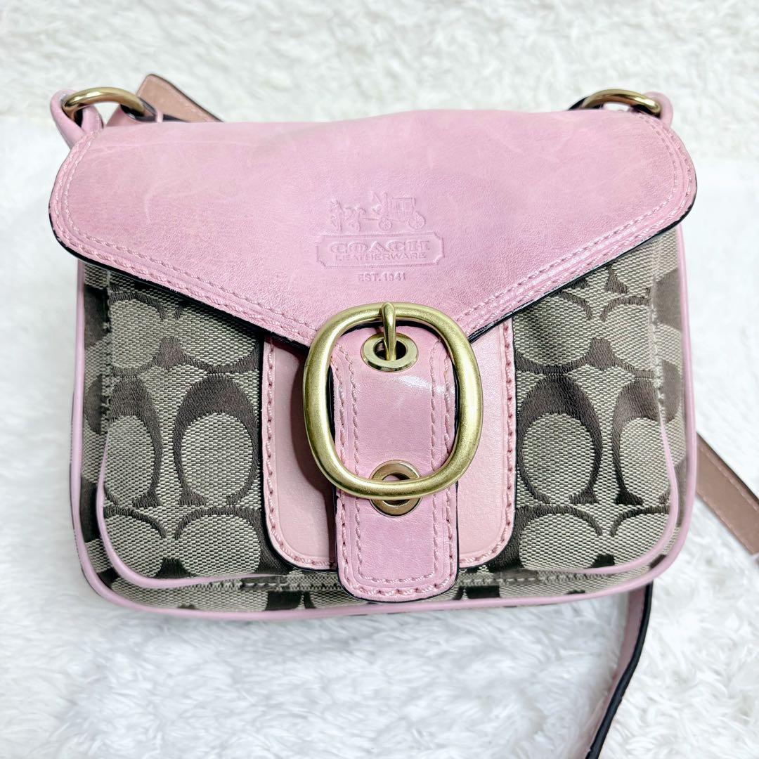 人気カラー】COACH シグネチャー ミニバッグ y2k soho ソーホー - メルカリ