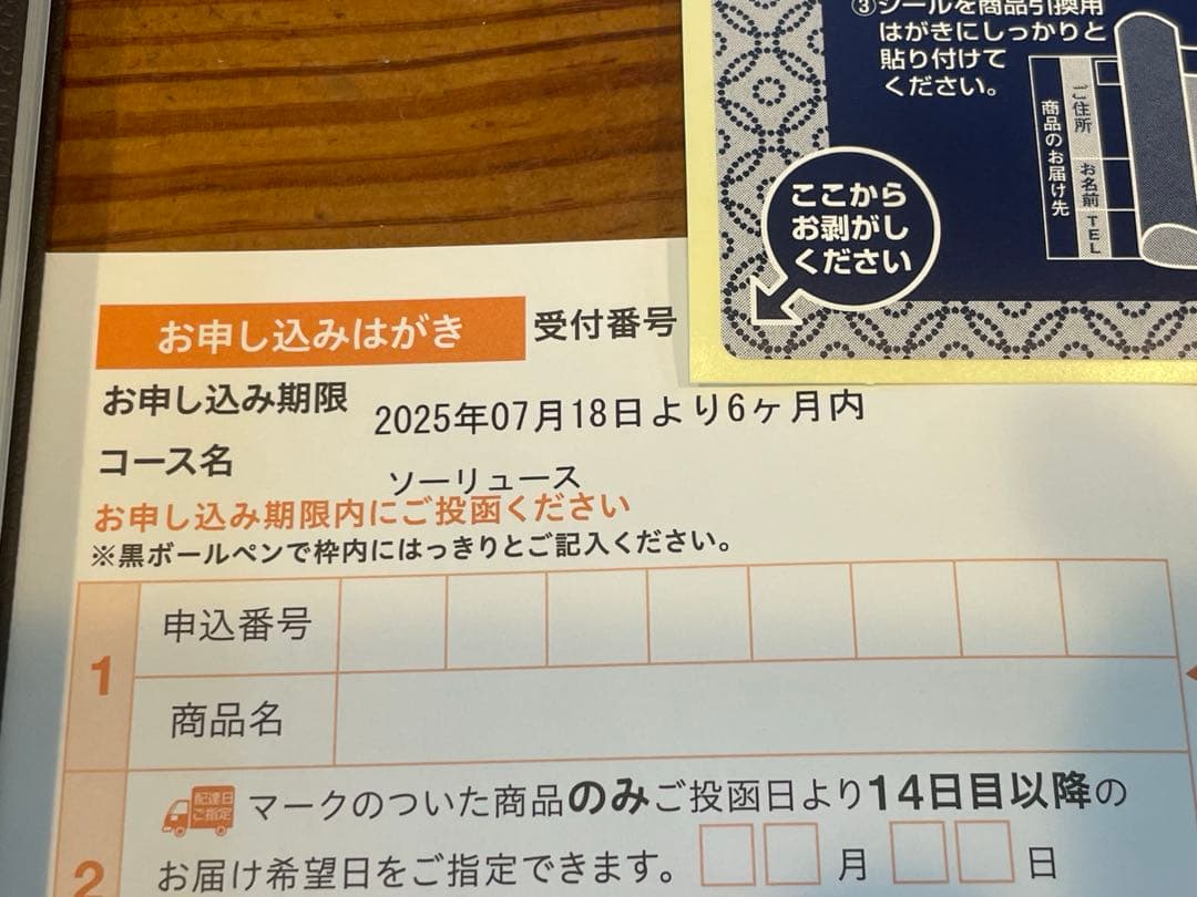 こばない様　カタログ　ソーリュース　2冊分の値段 1冊ばら売り可