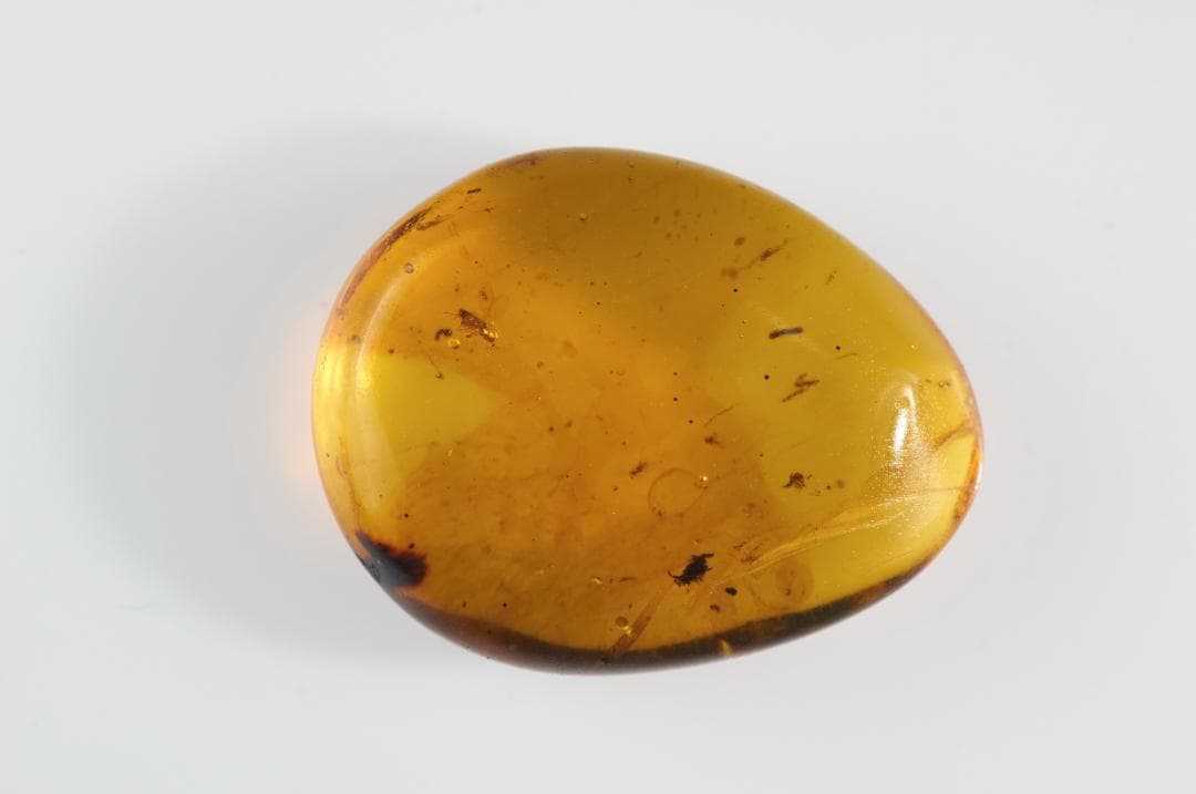 ZB343虫入り琥珀化石 ミャンマー カムティかタナイ産 9900万年前