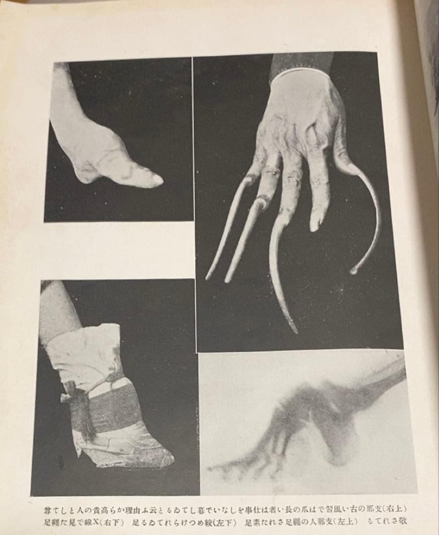 今和次郎、伊波普猷、伊東忠太、村松梢風等 / 犯罪科學別冊異状風俗資料研究號